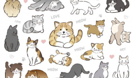 卡通漫画猫,卡通猫的奇幻冒险之旅